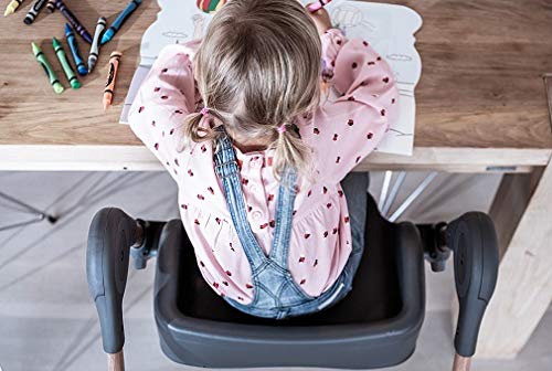 Six In One High Chair With Nine Height Positions And Five Recline Positions For Growth