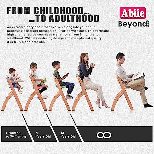 Abiie Beyond Junior Convertible High Chair 3In1 Portable
